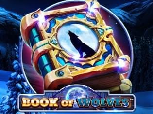 Book Of Wolves screenshot